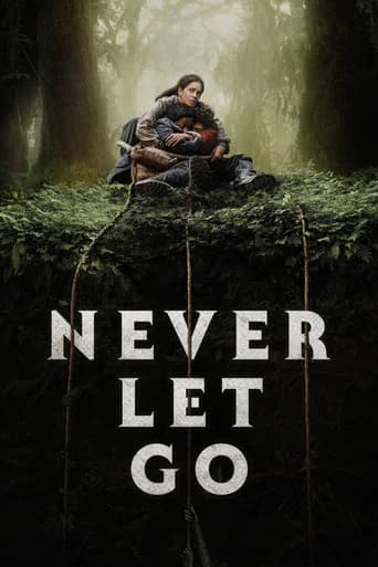 Poster Never Let Go